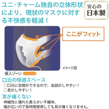 マスク 日本製 ソフトーク 超立体マスク サージカルタイプ 大きめサイズ 50枚入り12箱 1ケース 介護雑貨・生活支援用品 【日本製紙クレシア】 【51047】 【普通 使い捨て】
