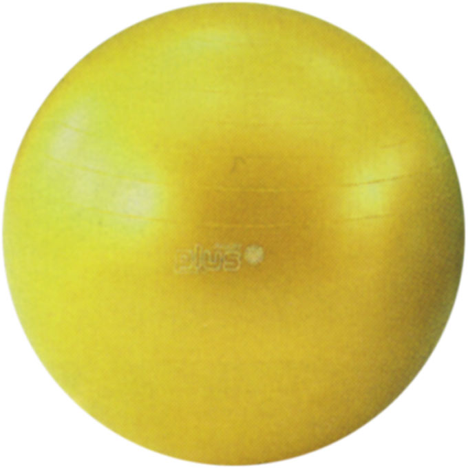 健康器具 ギムニクカラーボールPLUS 直径75cm イエロー 淡野製作所 D-5423G