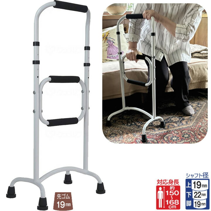 杖 ステッキ リハステッキサイド フジホーム WB5269