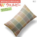 介護用クッション アルファプラ ウェルピー メッシュ ミニタイプ ポジショニングクッション タイカ PC-WM-M1(4)