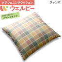 介護用クッション アルファプラ ウェルピー メッシュ ジャンボタイプ ポジショニングクッション タイカ PC-WM-J1(4)