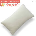 介護ベッド アルファプラ ウェルピー レギュラー ミニタイプ 【タイカ】 【PC-WR-M1】(4)