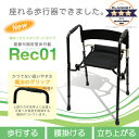 シルバーカー レック01 【イーアス 礎】 【Rec01】 【送料無料】【プレゼント 贈り物 ギフト】 2