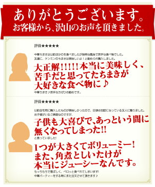 国産点心セット復刻版中華ちまき・ぎょうざ　【餃子 粽(国産/おにぎり/三角/お弁当/万国料理/麺類/夜食/お子様/おかず/惣菜/冷凍食品/中華料理/ギョウザ/中華点心) ケンミン 健民 ギフト プレゼント