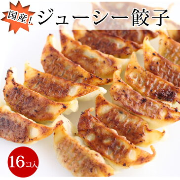 極旨直火海鮮焼きビーフン 5Pとぎょうざ 16個入りのセットケンミン(お弁当/万国料理/ホームパーティ/麺類/夜食/お子様/おかず/惣菜/温めるだけ/冷凍食品/中華料理/ギョウザ/ぎょうざ/ヘルシー/ダイエット/インスタント食品) ケンミン 健民 ギフト プレゼント