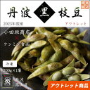 【2023年度産】丹波篠山産 黒枝豆1袋 アウトレット品【冷凍食品】ビーフンのケンミン飯店 健民