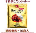 ≪森永牛乳 販売提携 カレー≫こだわり　レトルト　ビーフカレー高級レストランの美味しさこだわり ビーフカレー【 特製中辛 ビーフカレー 】こだわりレトルトビーフカレーの10食セット=送料無料4450円（税込）美味しいカレー♪