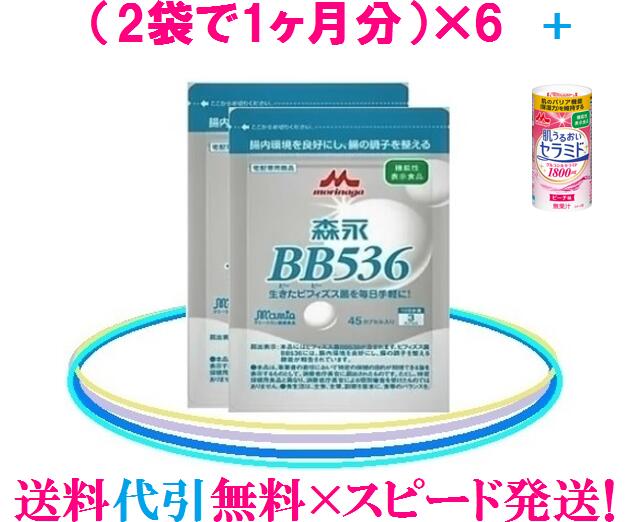 森永乳業ビヒダスBB536 【6ヵ月分】大変お得な12袋セット（45カプセル×12袋）ビヒダスBB536=ビフィズス菌BB536【送料無料】×【代引き手..