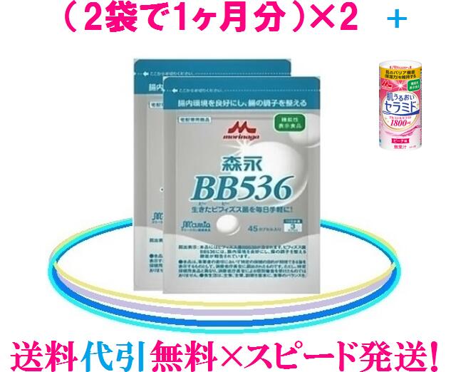 森永乳業 ビヒダスBB536 サプリメント2ヶ月分：お得セット（45カプセル×4袋）ビヒダスBB536 ビフィズス菌BB536【送料無料】×【代引手数料無料】ビヒダスBB536 正規販売ビフィズス菌は森永！ 花粉対策にも♪森永ビヒダス 健康美ショップ