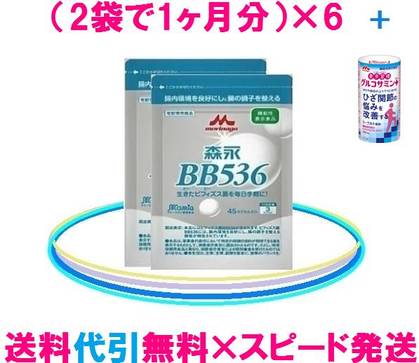 森永 ビヒダスBB536【ビフィズス菌】お得6ヶ月分（12袋）セット！「送料無料」「代引手数料無料」大変お得=1ヶ月当り2684円！森永ビヒダスBB536【森永乳業ビヒダスBB536】正規販売店悪玉菌を追い出す！花粉対策にも、森永　ビヒダスBB536