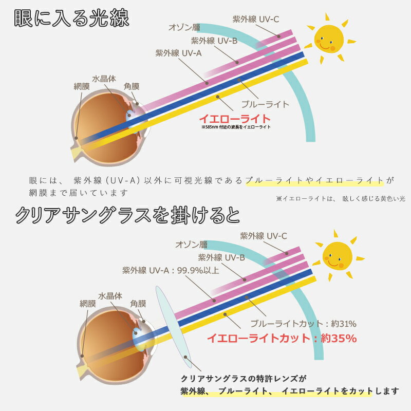 【クリア サングラス】レディース 鯖江製 日本...の紹介画像3