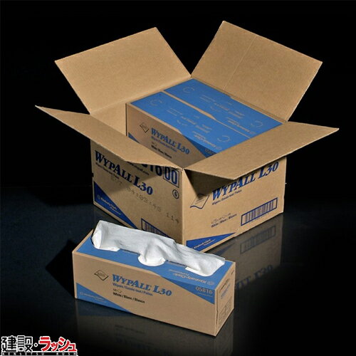 �y�s�O pig�z �G�R�m�}�C�U�[���C�v ���\�w��=30 120��x6�� [WIP5816]