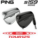 中古 Cランク （フレックスその他） キャスコ Dolphin　wedge　DW-JPFG　55° KBS　Hi-REV　2.0 WEDGE 男性用 右利き ウェッジ WG