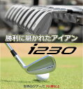 ピン i230 アイアン PING i230 iron 6本セット AMT TOUR WHITE ツアーホワイト スチール PING GOLF I230 IRON 日本仕様 左用 右用・レフト ライト・レフティー ツアー Dynamic Gold DYNAMICGOLD アイ230アイアン I230アイアン I210後継モデル Iシリーズ 2