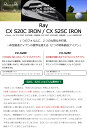 ROMARO Ray CX S20C/S25C IRON カスタム アイアン ロマロ レイ シーエックス アイアンセット 単品アイアン ダイナミックゴールド DG スチールシャフト 軟鉄鍛造アイアン アスリート アベレージ 【日本正規品】 3