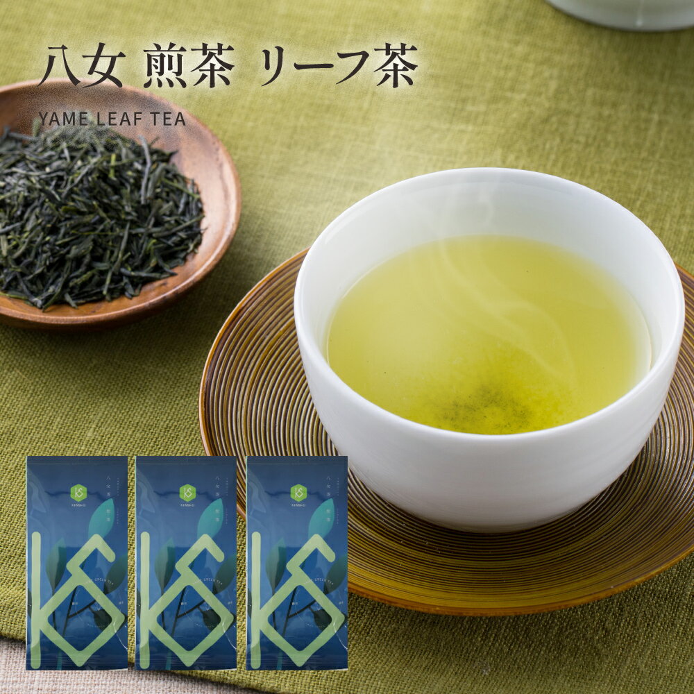 八女茶 八女煎茶 100g×3袋【送料無料】八女茶 煎茶 リーフ茶 日本茶 緑茶 お茶 プレゼント 国産 福岡県産 ギフト グリーンワールド八女 健祥 八女茶 抹茶 茶葉 八女 美味しい うまい お得 子供 大人 大容量 ホット アイス 水だし お湯だし 業務用 お徳用 自社生産 メール便