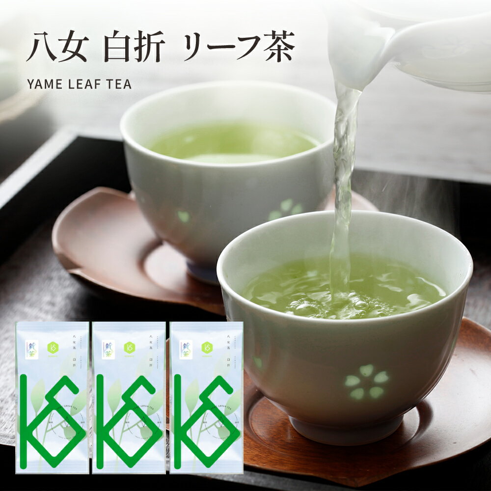 八女茶 八女白折 100g×3袋【送料無料】八女茶 白折 リーフ茶 日本茶 緑茶 お茶 プレゼント ギフト グリーンワールド八女 健祥 八女茶 抹茶 茶葉 茶 八女 美味しい うまい お得 子供 大人 大容量 ホット アイス 水だし お湯だし 業務用 お徳用 自社生産 メール便