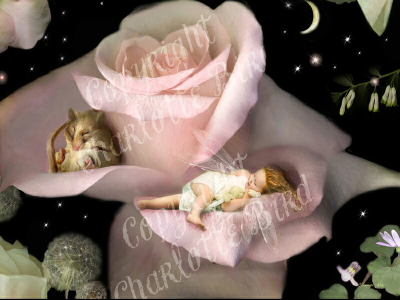 天使 妖精 絵画 ア クワイエット コーナー (静かな片すみ)グリーティング メッセージ カード フェアリー エンジェル フォトグラフ アート ヴィクトリア C...