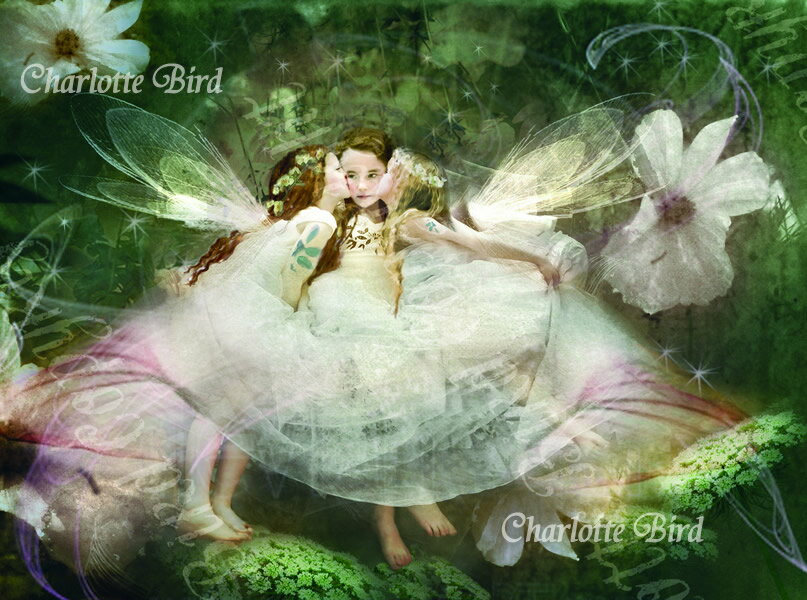 天使 妖精 絵画 ザ フェアリー ボウワー （妖精の休息所） フォトグラフ フェアリー エンジェル アート インテリア ヴィクトリア Charlotte Bird シャーロットバード イギリス 英国(3)