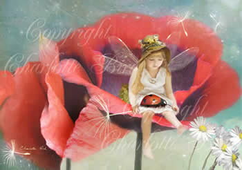 メンバーミー(私のこと覚えててね)ポストカード 天使 妖精 絵画 メッセージ カード フェアリー エンジェル フォトグラフ アート Charlotte Bird...