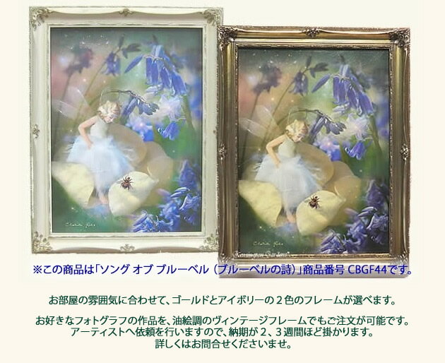 シャーロットバードヴィンテージフレーム妖精の写真家ローズセンテッドナイツヴィンテージフレーム