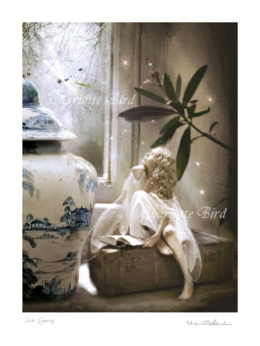 天使 妖精 絵画 スター ゲイジング「星座をみつめて」 フォトアート 妖精 の写真家 天使 フェアリー エンジェル アート ヴィクトリア Charlotte Bird シャーロットバード フォトグラフ イギリス 英国