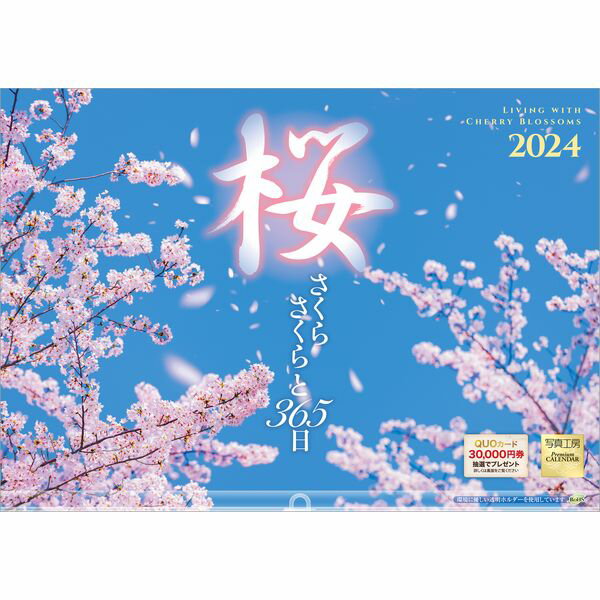 【送料無料】 2024年カレンダー桜写真工房