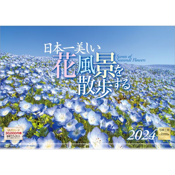 【送料込み】【取寄商品】 2024年カレンダー日本一美しい花風景を散歩する24CL-C-20[9/1発売]