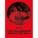 DVD / ATEEZ / ATEEZ WORLD TOUR(THE FELLOWSHIP : BREAK THE WALL) BOX1 / COBA-7344