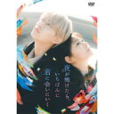 DVD / 邦画 / 夜が明けたら、いちばんに君に会いにいく スタンダード・エディション / YRBS-90041