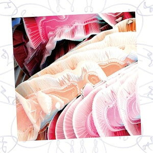 乐天商城 - CD / NAQT VANE / NV (初回生産限定盤) / AVCD-63694