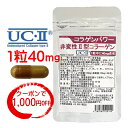 非変性2型コラーゲン【クーポンで1 000円OFF】 UC-II 30日分 コラゲンパワー II型コラーゲン コラーゲン サプリ MSM コンドロイチン配合 二型コラーゲン コラパワー 送料無料