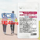 【スーパーSALE 1,000円OFF】非変性2型コラーゲン UC-II 30日分 コラゲンパワー II型コラーゲン サプリ MSM コンドロイチン配合 二型コラーゲン コラパワー