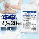 乳酸菌 サプリ 20兆個 23種の乳酸菌 + 酵素 乳酸菌 EC-12 乳酸菌サプリメント 乳酸菌 カプセル 菌パワー ビフィズス菌 プロバイオティクス 送料無...