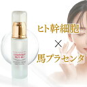 ヒト幹細胞 美容液 馬プラセンタ |お試し価格| 高濃度 ヒト幹細胞培養液 エッセンス 30ml 麗らか滴 ハリ 幹細胞 コスメ 化粧品