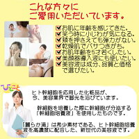 ヒト幹細胞+馬プラセンタ美容液SCCプレミアムエッセンス麗らか滴