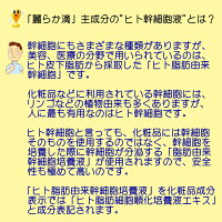 ヒト幹細胞+馬プラセンタ美容液SCCプレミアムエッセンス麗らか滴