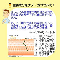 ヒト幹細胞+馬プラセンタ美容液SCCプレミアムエッセンス麗らか滴