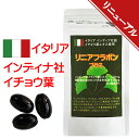 イチョウ葉 エキス DHA サプリ お試し価格 リニアフラボン 90粒 いちょう葉 イタリア インディナ社 イチョウ葉エキス120mg イチョウ葉 フラボノイド...
