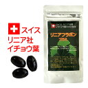 イチョウ葉エキス+DHA リニアフラボン 90粒 いちょう葉 +DHA スイス リニア社 イチョウ葉エキス120mg イチョウ葉 フラボノイド サプリメント