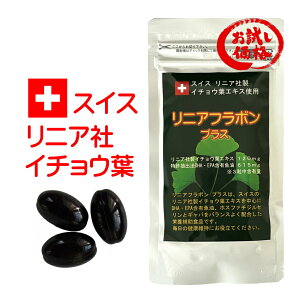 イチョウ葉エキス+DHA 初回限定お試し価格 リニアフラボン 90粒 いちょう葉 スイス リニア社 イチョウ葉エキス120mg イチョウ葉 フラボノイド サプリメント