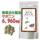 田七人参 サプリ 有機 jas 規格 使用|お試し価格| 200mg×300粒 有機 田七人参 サポニン 6,960mg 雲南 田七人参 伝七 三七人参 でんし...