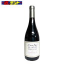 コノスル ピノノワール レゼルバ エスペシャル 750ml 赤 14度 Cono Sur Pinot Noir Reserva Especial