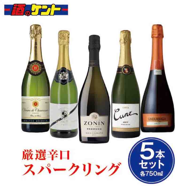 厳選辛口 スパークリング ワイン 5本セット 各750ml 瓶