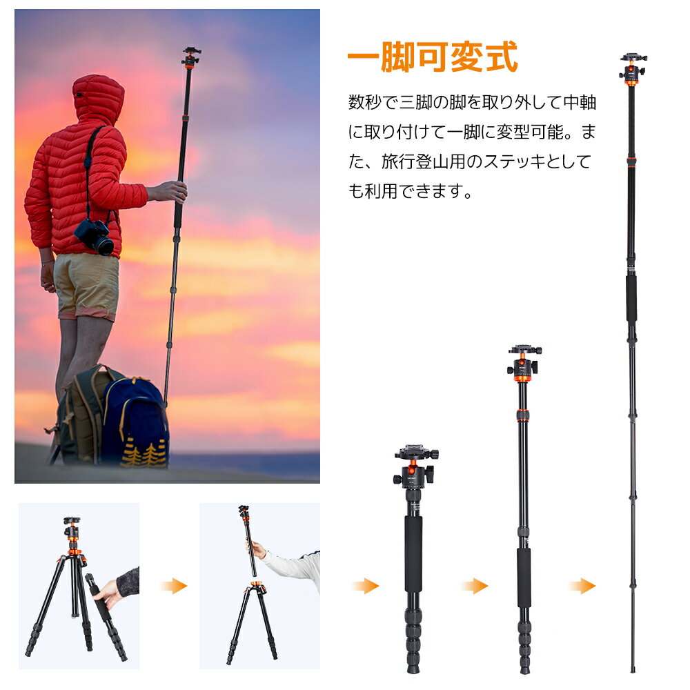 即納特典付き 3倍ポイント K F Concept カメラ三脚 一眼レフ 171cm 三脚 一脚 アルミ 5段 軽量 コンパクト 360度回転 自由雲台 反転収納 クイックシュー ミラーレス ナットロック式 Tm2515m1 高い素材 Www Sakuraen Jp 即納特典付き 3倍ポイント K F Concept カメラ三脚 一眼レフ 171cm 三脚 一脚 アルミ 5段 軽量 コンパクト 360度回転 自由雲台 反転収納 クイックシュー ミラーレス ナットロック式 Tm2515m1 高い素材 Www Sakuraen Jp