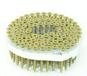 SC カラーロール連結ネジ41mm ブロンズ SCN-3941N【1縛り/100本×20巻入×2箱】【※2縛りごとに送料800円かかります】