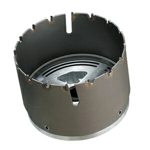 DENSAN（デンサン/ジェフコム）　ダウンライトコア　ボディのみ　φ150mm　DDB-150