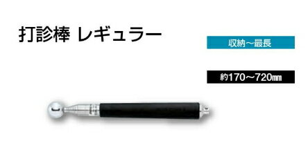 【打診棒】 品名 全重量 玉径 収納〜最長 シャフト部 商品番号 　打診棒　ミニ 約70g 17φ 約130〜520mm 　8段伸縮ステンレス管・ゴムグリップ 01390 　打診棒　レギュラー 約80g 17φ 約170〜720mm 　8段伸縮ステンレス管・ゴムグリップ 01561 　打診棒　ロングNo.6 約110g 19φ 約210〜900mm 　6段伸縮ステンレス管・ゴムグリップ 01124 　打診棒　ロングNo.4 約130g 17φ 約300〜980mm 　4段伸縮ステンレス管・樹脂カバー付 01560 　打診棒　ロングNo.7 約110g 17φ 約210〜1170mm 　8段伸縮ステンレス管・ゴムグリップ 01391 　打診棒　ロング1500 約200g 19φ 約250〜1510mm 　9段伸縮ステンレス管・ゴムグリップ 01448 　打診棒　ロング1.8m 約210g 19φ 約280〜1820mm 　9段伸縮ステンレス管・ゴムグリップ 01125 　打診棒　ロング2000 約230g 19φ 約300〜2100mm 　9段伸縮ステンレス管・ゴムグリップ 01449 　打診棒　3m 約900g 29φ 約1300〜3000mm 　3段伸縮樹脂コーティングパイプ 01564