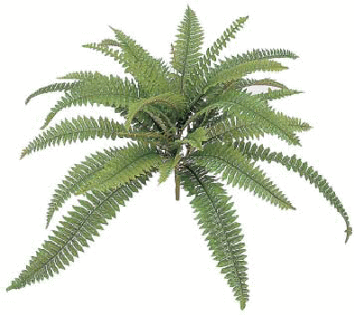 タカショーエクステリア　グリーングッズ　クイックボストン大　W60cm　GN-45L