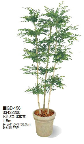 タカショーエクステリア　トネリコ　3本立　1.8m　鉢付　GD-156【※代金引換便はご利用できません】【※..